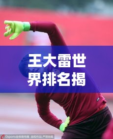王大雷世界排名揭秘，中國足球的榮耀瞬間