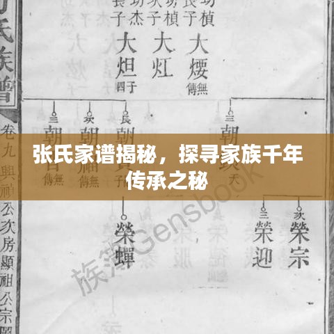 張氏家譜揭秘，探尋家族千年傳承之秘
