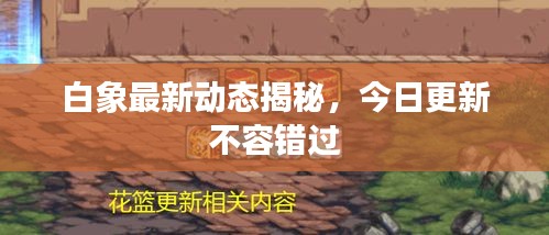 白象最新動態(tài)揭秘，今日更新不容錯過