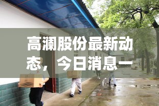 高瀾股份最新動態(tài)，今日消息一覽