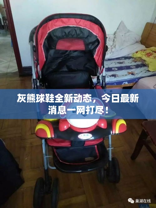灰熊球鞋全新動態(tài)，今日最新消息一網(wǎng)打盡！