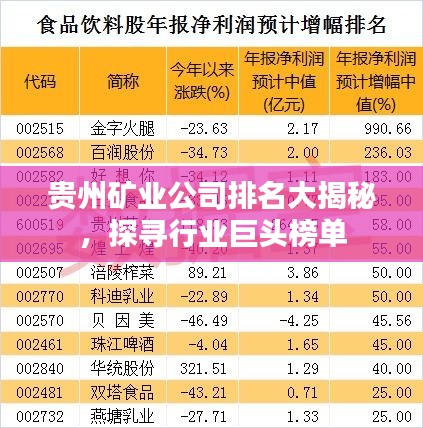 貴州礦業(yè)公司排名大揭秘，探尋行業(yè)巨頭榜單