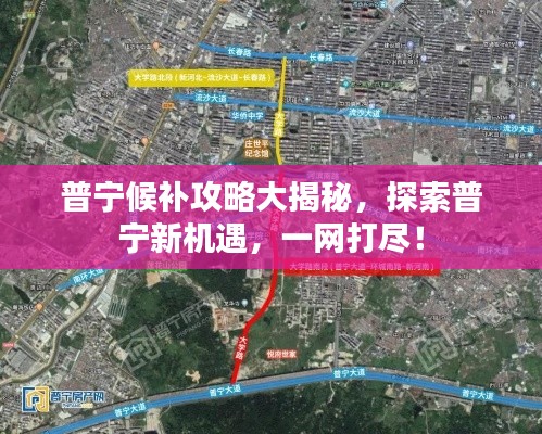 普寧候補攻略大揭秘，探索普寧新機遇，一網(wǎng)打盡！