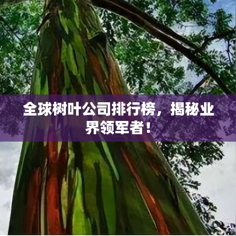 全球樹葉公司排行榜，揭秘業(yè)界領(lǐng)軍者！