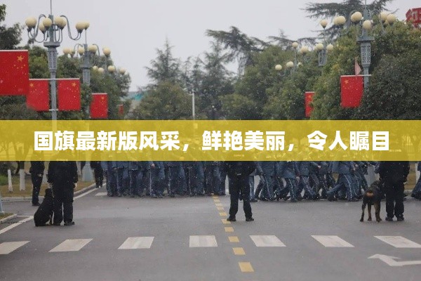 國旗最新版風(fēng)采，鮮艷美麗，令人矚目