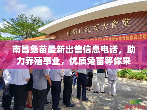 南昌兔苗最新出售信息電話，助力養(yǎng)殖事業(yè)，優(yōu)質(zhì)兔苗等你來選！