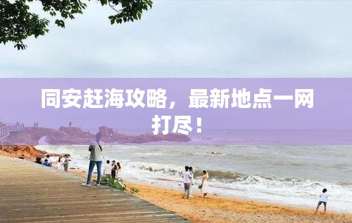 同安趕海攻略，最新地點(diǎn)一網(wǎng)打盡！