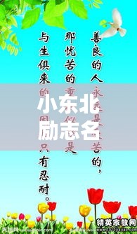小東北勵志名言，激發(fā)無限潛能的短句