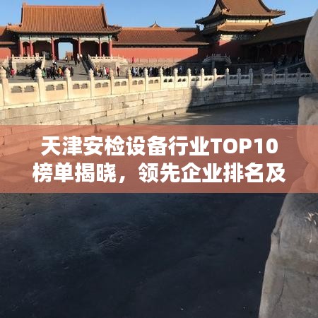 天津安檢設(shè)備行業(yè)TOP10榜單揭曉，領(lǐng)先企業(yè)排名及優(yōu)勢(shì)一網(wǎng)打盡！