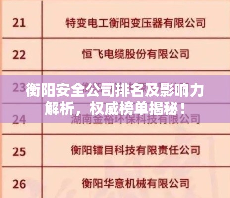 衡陽安全公司排名及影響力解析，權(quán)威榜單揭秘！