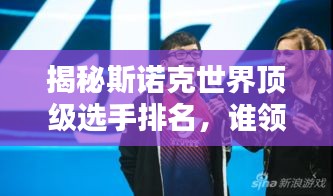 笨鳥先飛 第3頁