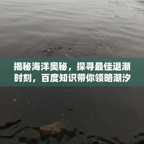 揭秘海洋奧秘，探尋最佳退潮時刻，百度知識帶你領略潮汐魅力