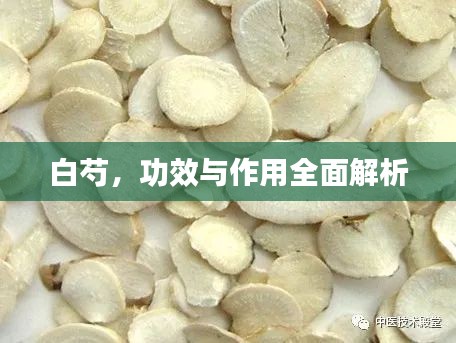 白芍，功效與作用全面解析