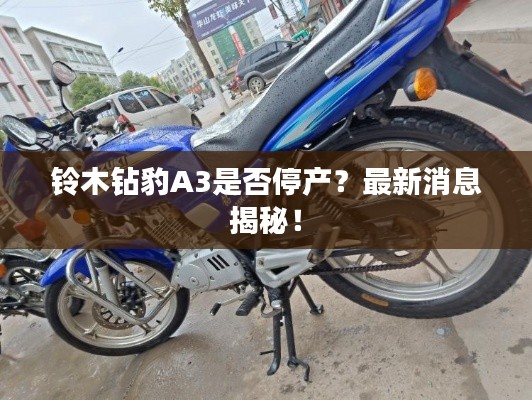鈴木鉆豹A3是否停產(chǎn)？最新消息揭秘！