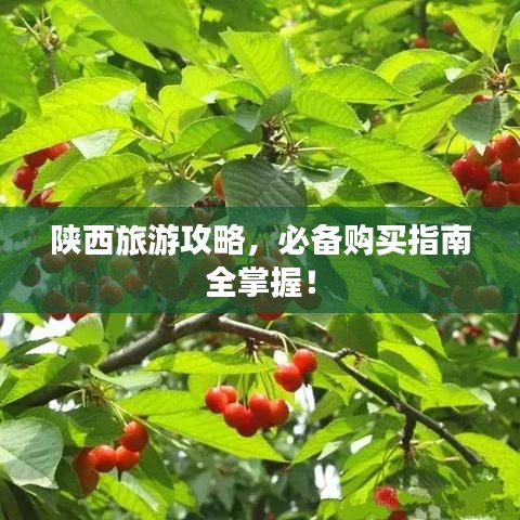 陜西旅游攻略，必備購(gòu)買指南全掌握！