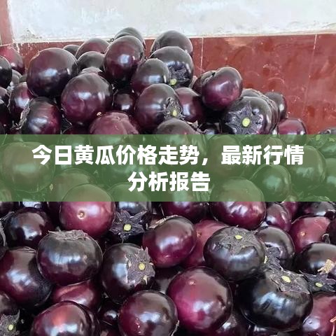 今日黃瓜價(jià)格走勢(shì)，最新行情分析報(bào)告