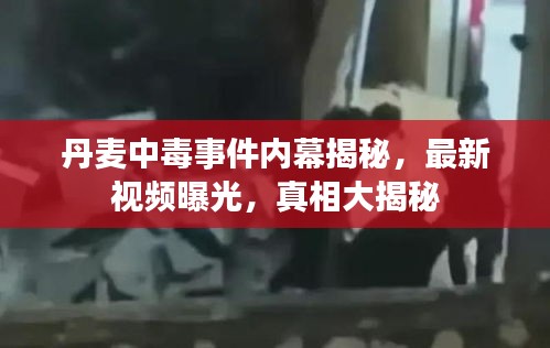 丹麥中毒事件內(nèi)幕揭秘，最新視頻曝光，真相大揭秘
