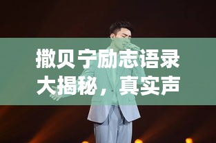 撒貝寧勵志語錄大揭秘，真實聲音，激勵人心