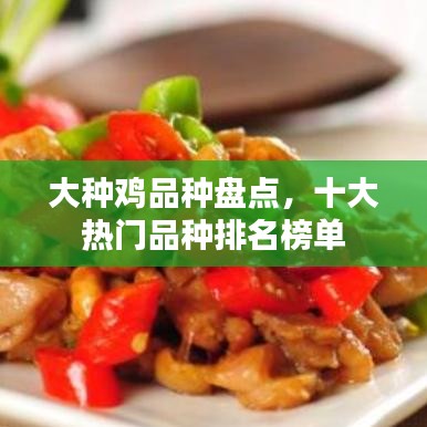 新聞動(dòng)態(tài) 第251頁