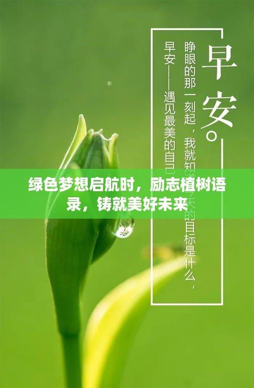 綠色夢(mèng)想啟航時(shí)，勵(lì)志植樹語錄，鑄就美好未來