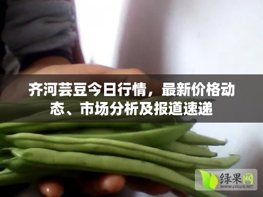 齊河蕓豆今日行情，最新價(jià)格動(dòng)態(tài)、市場分析及報(bào)道速遞