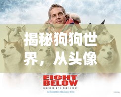 揭秘狗狗世界，從頭像圖片開啟的奇妙探險(xiǎn)之旅