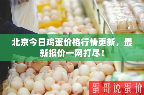 北京今日雞蛋價(jià)格行情更新，最新報(bào)價(jià)一網(wǎng)打盡！