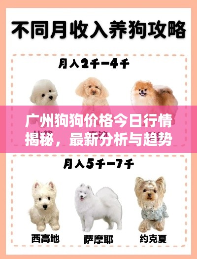 廣州狗狗價格今日行情揭秘，最新分析與趨勢預(yù)測