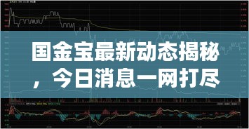 國金寶最新動態(tài)揭秘，今日消息一網(wǎng)打盡