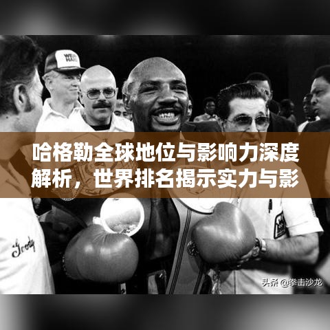 哈格勒全球地位與影響力深度解析，世界排名揭示實(shí)力與影響力