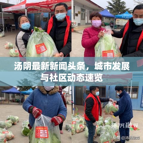 湯陰最新新聞?lì)^條，城市發(fā)展與社區(qū)動(dòng)態(tài)速覽