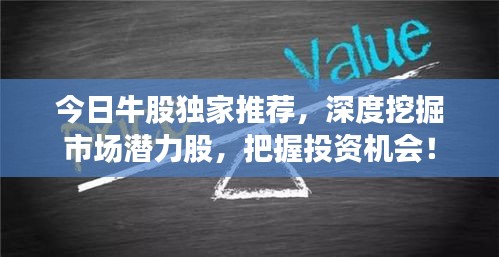 今日牛股獨(dú)家推薦，深度挖掘市場(chǎng)潛力股，把握投資機(jī)會(huì)！