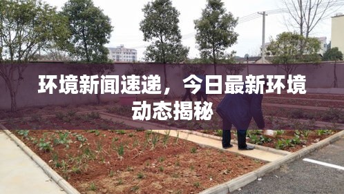 環(huán)境新聞速遞，今日最新環(huán)境動態(tài)揭秘