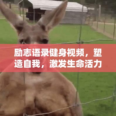 勵志語錄健身視頻，塑造自我，激發(fā)生命活力