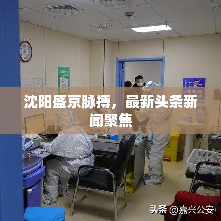 沈陽(yáng)盛京脈搏，最新頭條新聞聚焦