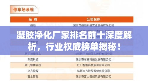 凝膠凈化廠家排名前十深度解析，行業(yè)權(quán)威榜單揭秘！
