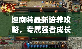 坦南特最新培養(yǎng)攻略，專屬強(qiáng)者成長之路揭秘
