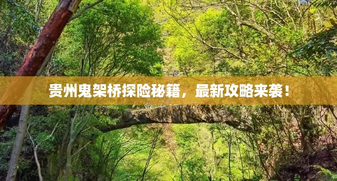 貴州鬼架橋探險(xiǎn)秘籍，最新攻略來(lái)襲！