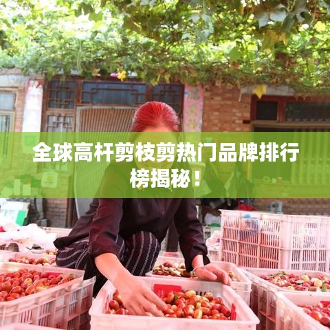 全球高桿剪枝剪熱門品牌排行榜揭秘！
