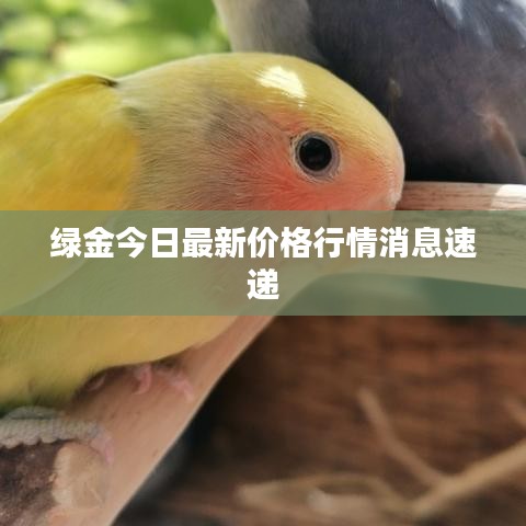綠金今日最新價(jià)格行情消息速遞
