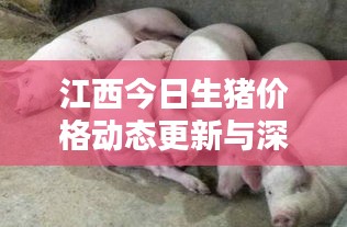 江西今日生豬價(jià)格動態(tài)更新與深度分析
