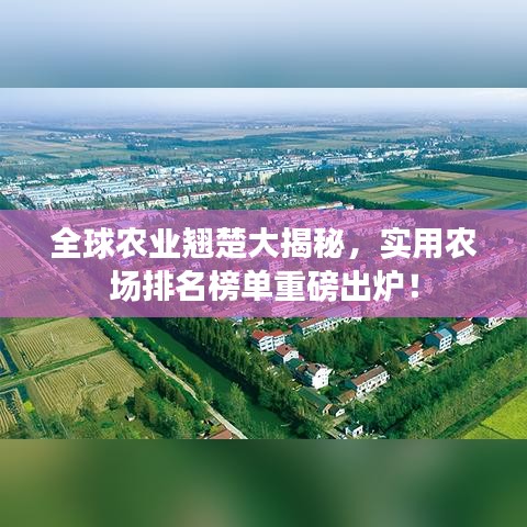 全球農(nóng)業(yè)翹楚大揭秘，實(shí)用農(nóng)場(chǎng)排名榜單重磅出爐！