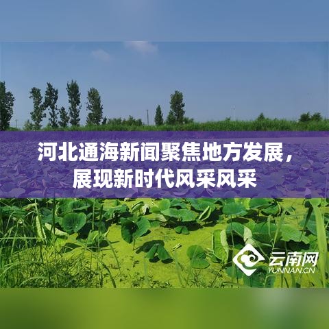 食而不化 第3頁(yè)