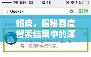 貂皮，揭秘百度搜索結果中的深度解讀
