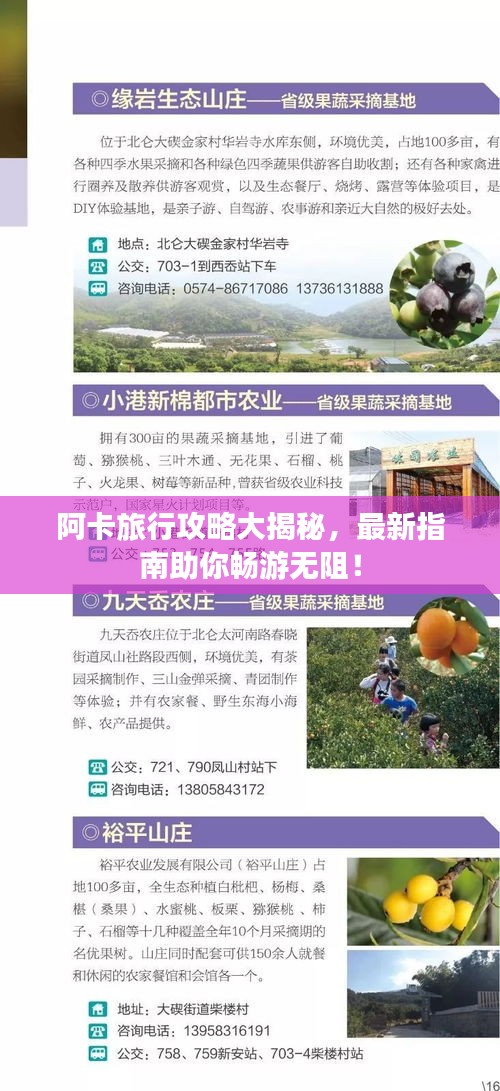 阿卡旅行攻略大揭秘，最新指南助你暢游無阻！