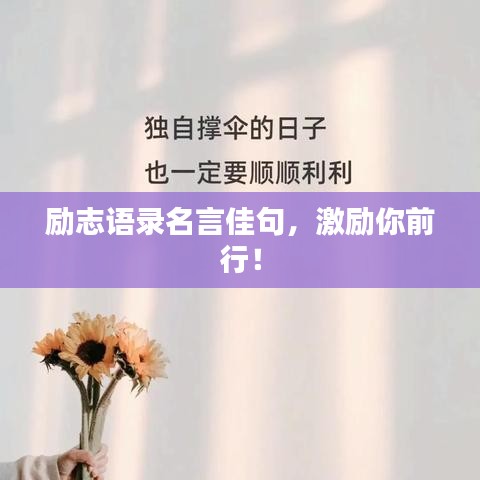 勵(lì)志語(yǔ)錄名言佳句，激勵(lì)你前行！
