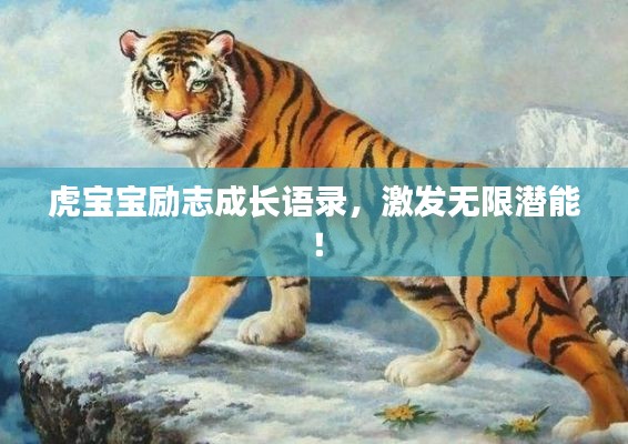 虎寶寶勵(lì)志成長語錄，激發(fā)無限潛能！