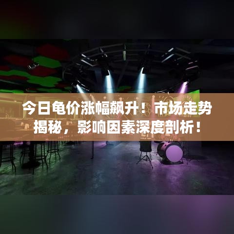 今日龜價漲幅飆升！市場走勢揭秘，影響因素深度剖析！