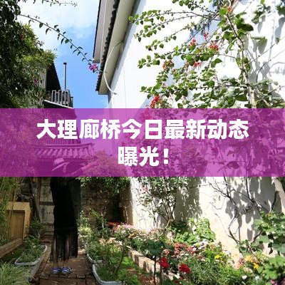 大理廊橋今日最新動態(tài)曝光！