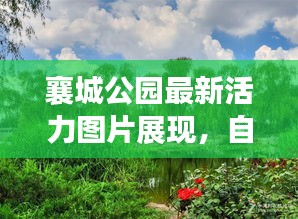 襄城公園最新活力圖片展現(xiàn)，自然盛景下的生機(jī)勃勃景象！